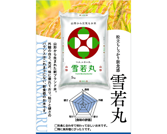 【新米・予約販売】山形県産ブランド米5kgセット 5kg×2 令和三年産 ※10月中旬より随時発送