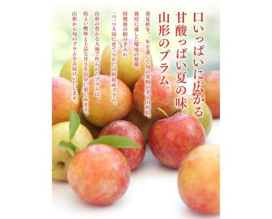 【予約】プラム(秋姫)約1.2kg 6~12玉 ※出荷時期:9月上旬~9月中旬
