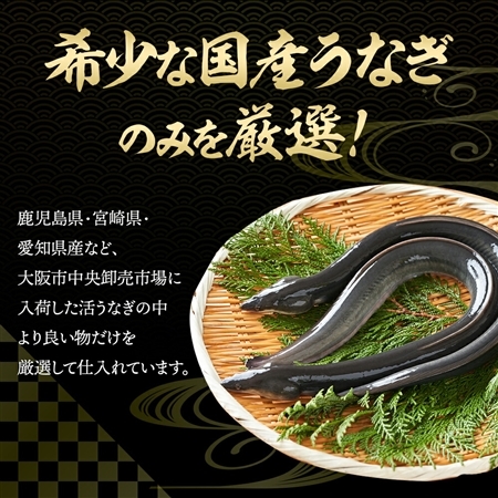 特大国産うなぎ200g×2尾