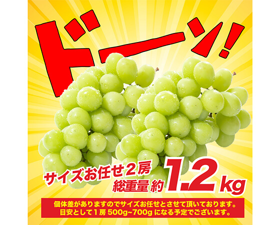 【予約】山梨県笛吹市産!シャインマスカット 500g~700g×2房