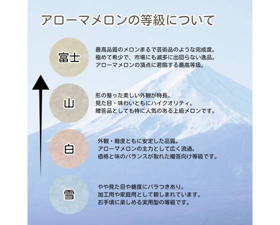 【山級】静岡マスクメロン(アローマメロン)1玉 1.8kg〈化粧箱付〉