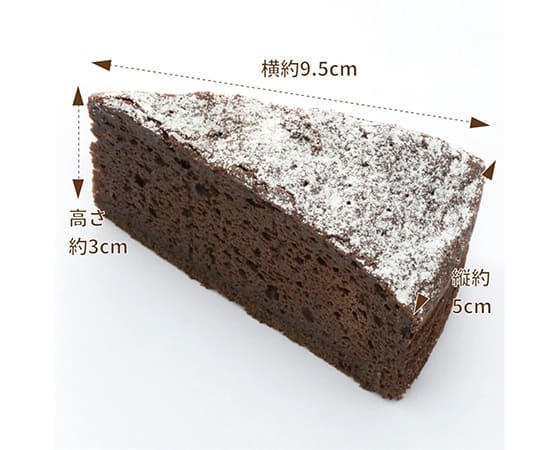 ガトーショコラ 270g(45g×6個)