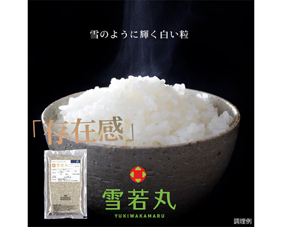 炊き込みごはんセット(豚ごはん)