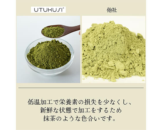 有機UTUKUSI(R)モリンガ茶パウダースティック31本入り(1か月分)