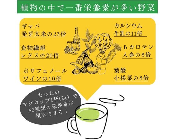 有機UTUKUSI(R)モリンガ茶パウダー 20g(お試しサイズ)