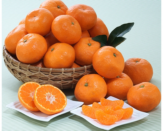 【予約】愛媛みかん 4.5㎏(45~60玉) お届け期間:11月中旬~下旬