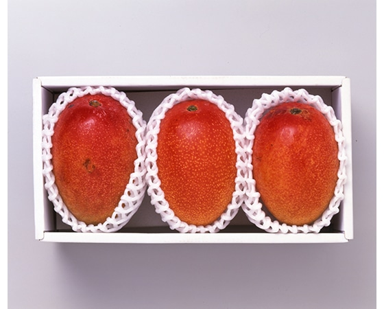 【予約】アップルマンゴー 宮崎県産 800g(2~3玉)お届け期間:6月中旬~下旬