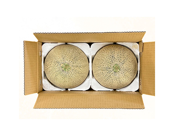 【予約】クインシーメロン 1.8kg(2個) 出荷時期:5月中旬~5月下旬