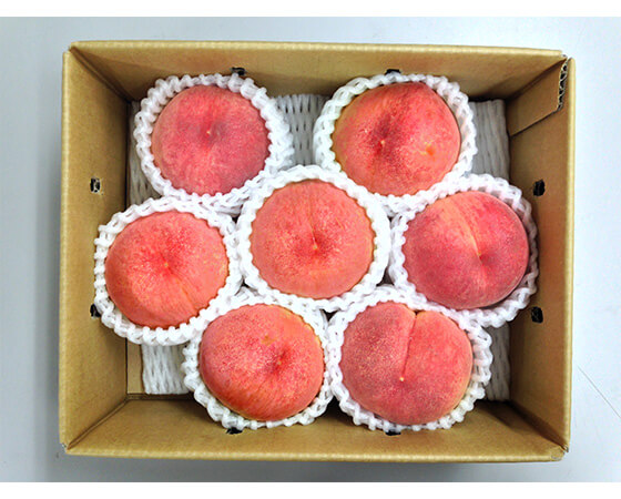 【予約】山梨の桃 1.5kg(5~7個) ※出荷時期:7月中旬~8月上旬