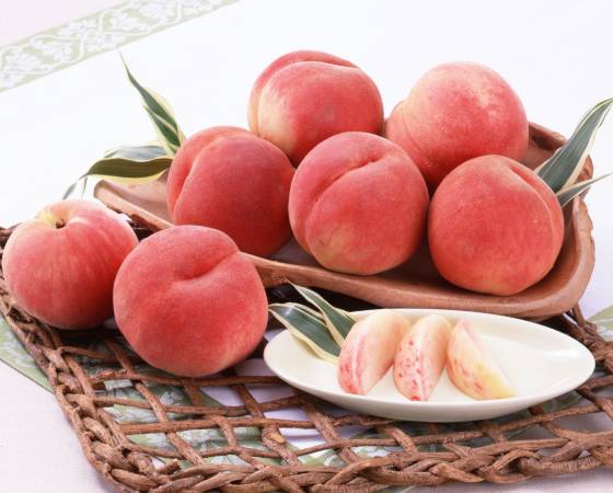 【予約】福島の桃 1.8kg(6~8個) ※出荷時期:7月下旬~8月中旬