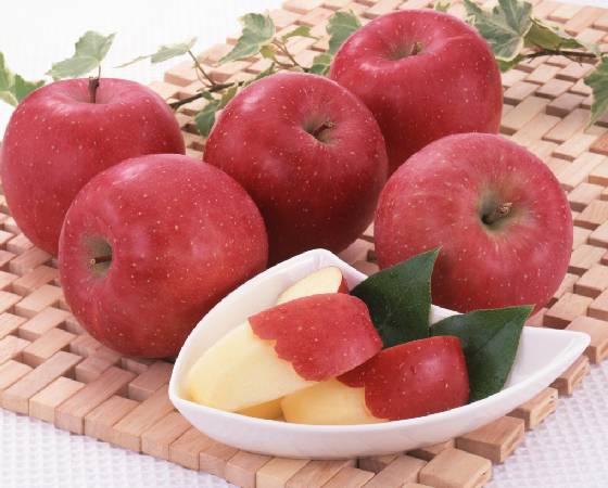 【予約】サンふじりんご(糖度選別)2kg5~9個 ※出荷時期:12月上旬~下旬