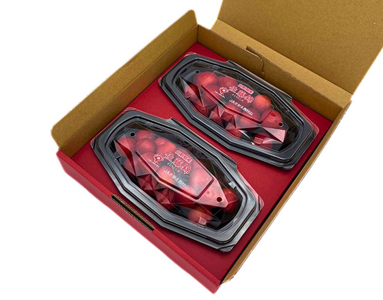 【母の日ギフト】ハウス佐藤錦 100g×2 出荷時期:5月7日~5月10日