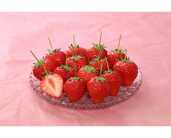 【予約】さぬきひめ 750g(24~36個) いちご ※出荷時期:1月中旬~1月下旬