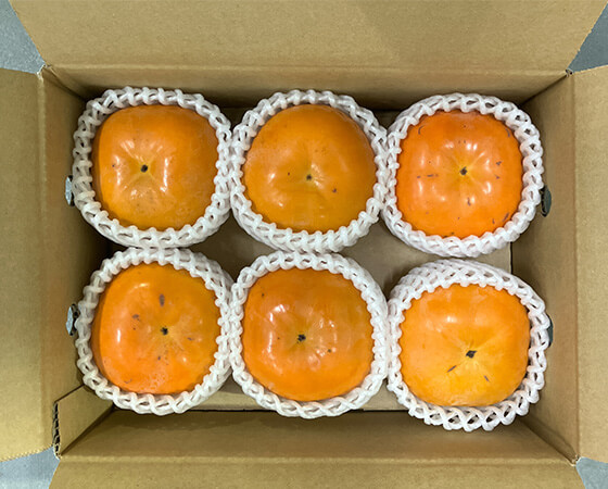 【予約】秋王柿 1.6kg(5~7個) ※出荷時期:11月中旬~11月下旬