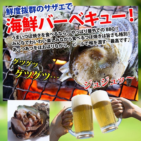 長崎産天然サザエ(特大)1.2kg