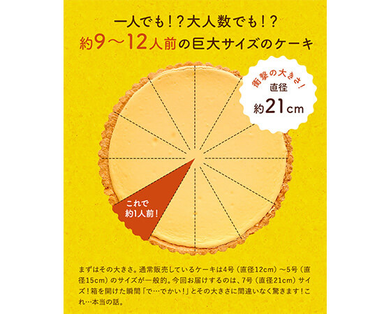 ベイクドチーズタルトプレミアム7号