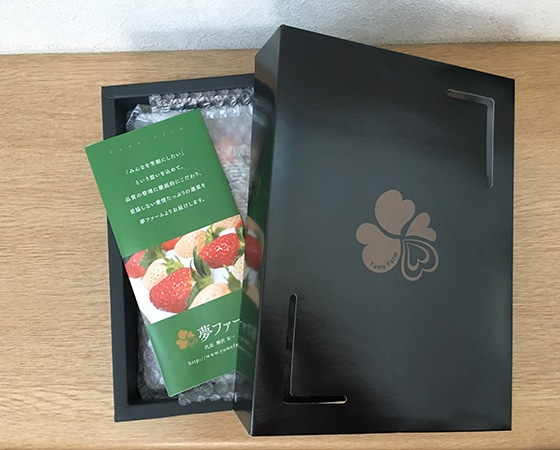 【予約】激レア白いちご 淡雪(白いちご) お届け期間:11月下旬~5月中旬