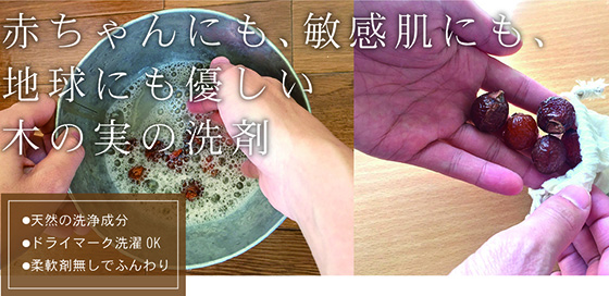 ウォッシュナッツ 90g 人と地球と服にも優しい、天然の木の実で洗う洗剤 !約 30 回分
