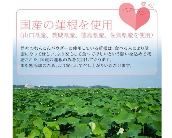 【無添加厳選】蓮根パウダー1か月分90g