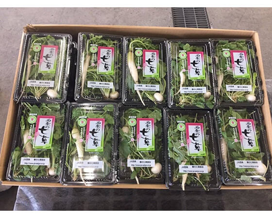 【予約】【年に一回の限定】七草粥とお鍋が食べたくなるお野菜セット ※30セット限定