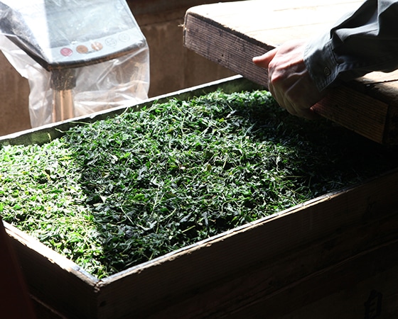 ほうじ茶、抹茶入り深蒸し茶のセット