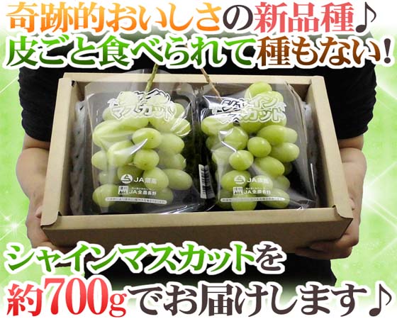 【予約】産地厳選 種無しシャインマスカット秀品 2pc 約700g※クール便にてお届け!