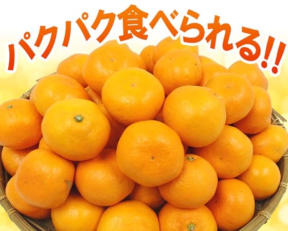 【送料無料】和歌山みかん 訳あり LLサイズ 約10kg【予約 11月末以降】