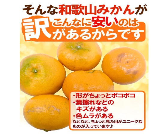 【予約】和歌山みかん 訳あり 約2kg 大きさおまかせ 2セット同時購入で1kgオマケ!【予約 11月末以降】
