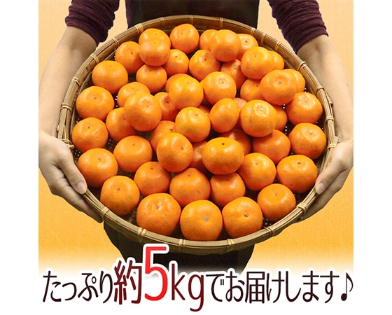【送料無料】長崎産 西海 ”味まるみかん” 訳あり 約5kg 大きさおまかせ 【予約 11月末以降】
