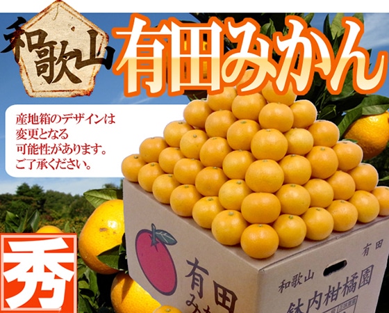 【送料無料】和歌山産 ”有田みかん” 秀品 SSサイズ 約10kg ありだみかん【予約 11月末以降】
