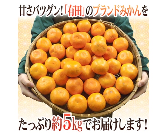 【送料無料】和歌山産 有田みかん 訳あり L~LLサイズ 約5kg ありだみかん【予約 11月末以降】