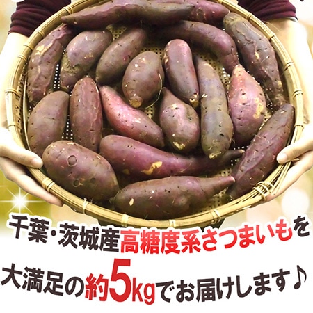 【送料無料】千葉・茨城産 訳あり ”さつまいも” 約5kg 品種おまかせ♪