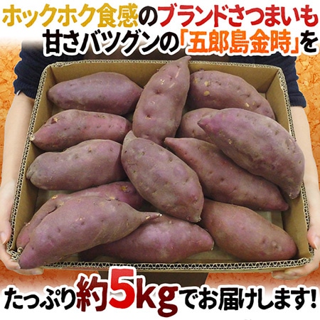【送料無料】石川県 加賀野菜 ”五郎島金時” S/M/Lサイズ 約5kg さつまいも