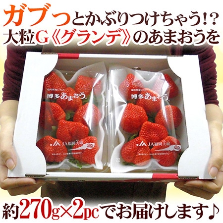 福岡産 博多 ”あまおういちご” 等級G(グランデ) 1箱 2パック入り(1パック約270g)【予約 12月~4月】