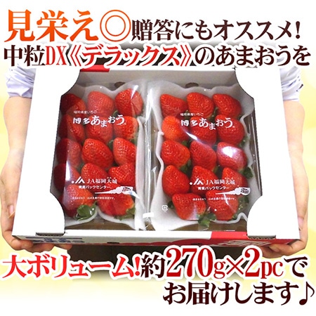 福岡産 博多 ”あまおういちご” 中粒 等級DX(デラックス) 1箱 2パック入り(1パック15粒前後/約270g)【予約 12月~4月】