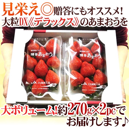 福岡産 博多 ”あまおういちご” 等級DX(デラックス) 1箱 2パック入り(1パック約270g)【予約 12月~4月】