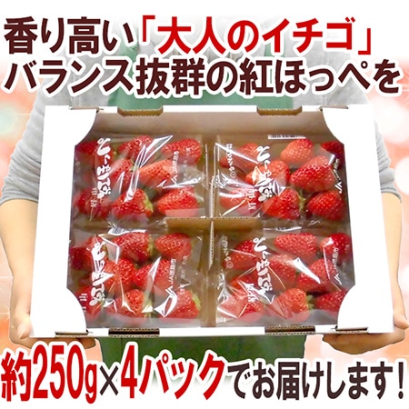 【送料無料】徳島産 ”紅ほっぺ” 大粒 2Lor3Lor大粒○ 約250g×4pc いちご【予約 12月~4月】