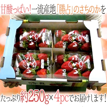 徳島県勝占産 ”さちのか” 2Lor3Lor大粒○ 約250g×4pc いちご【予約 12月~4月】