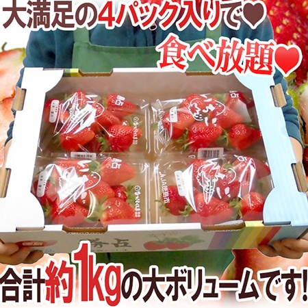 徳島県勝占産 ”夢いちご” 2Lor3Lor大粒○ 約250g×4pc【予約 12月~4月】