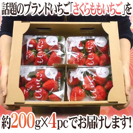 徳島県佐那河内村 ”さくらももいちご” 訳あり 約200g×4pc ワケ待ち【予約 12月~4月】