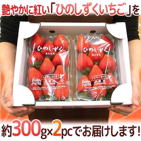 熊本県 ”ひのしずくいちご” 秀品 2パック入り(1パック 7~13粒 約300g)×《1箱》【予約 12月~3月】
