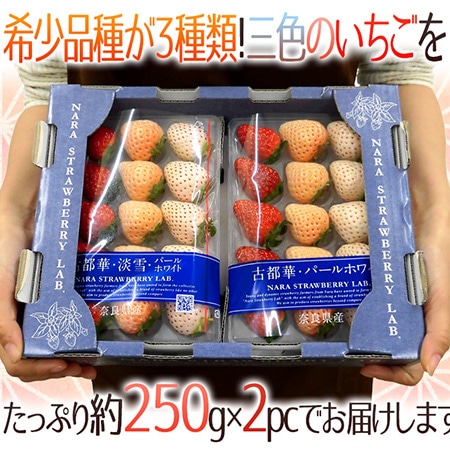 奈良県産 ”三色いちごセット” 2pc(1pcあたり9~15粒前後 約250g)古都華・淡雪・パールホワイト【予約 12月以降】