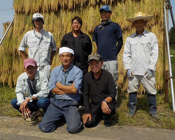 【令和元年産】特別栽培米 新潟県十日町産コシヒカリ 5㎏