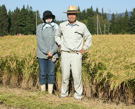 【令和二年産】生産者限定のお米 特別栽培米 新潟県魚沼産(津南町)コシヒカリ 5kg