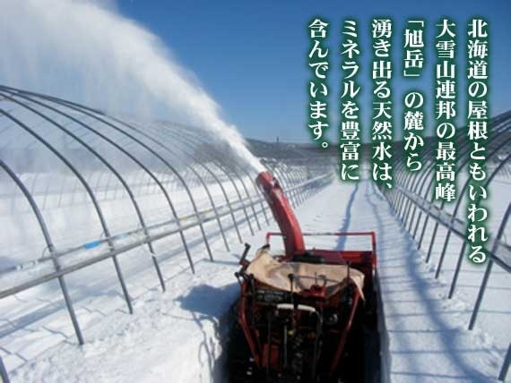 【30年度】特A 特別栽培 佐竹国広さんの北海道ゆめぴりか 5kg