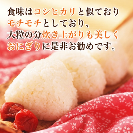 石川県能登産のとひかり 5kg(30年産)