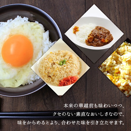 福井県産華越前 10kg(30年産)