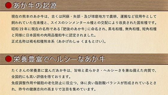 ASOのあか牛 ハンバーグセット