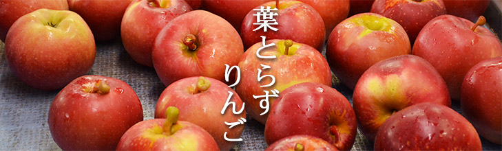 【ギフト】葉とらずリンゴジュース小瓶10本入りギフトボックス