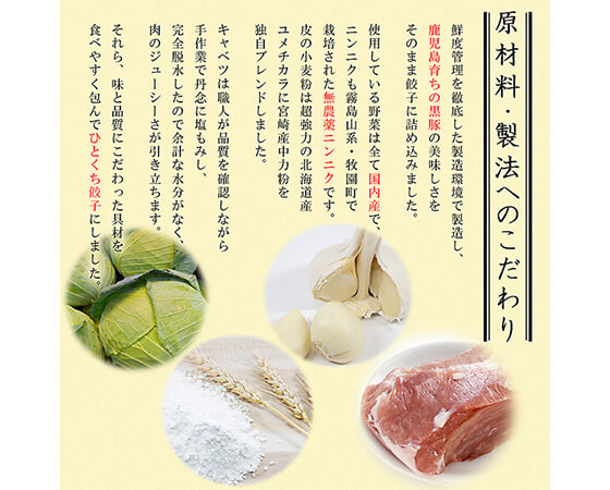 鹿児島黒豚ひとくち餃子45個